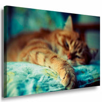 Katze im Bett Leinwandbild AK Art Bilder Mehrfarbig Kunstdruck XXL Wandbild TOP