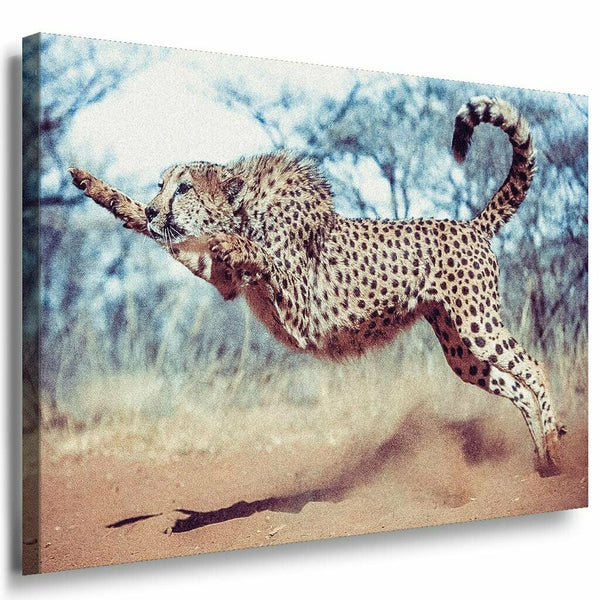 Jaguar kampft in Afrika Leinwandbild AK Art Bilder Mehrfarbig Kunstdruck XXL