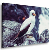 Vogel am Meer Leinwandbild AK Art Bilder Mehrfarbig Kunstdruck XXL Wandbild TOP