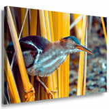 Vogel Wald Leinwandbild AK Art Bilder Mehrfarbig Kunstdruck XXL Wandbild TOP