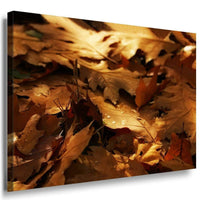 Herbst Laubblatter Leinwandbild AK Art Bilder Mehrfarbig Wandbild Kunstdruck 2