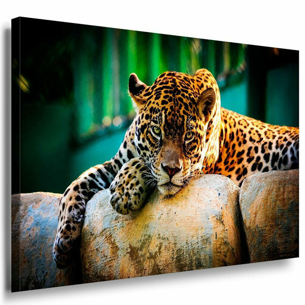 Leopard Leinwandbild AK Art Bilder Mehrfarbig Wandbild Kunstdruck Wanddeko XXL 3