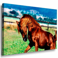 Pferd Leinwandbild AK Art Bilder Mehrfarbig Wandbild Kunstdruck Wanddeko TOP XXL