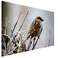 Vogel im Winter Leinwandbild AK Art Bilder Wanddeko Wandbild Made in Germany XXL