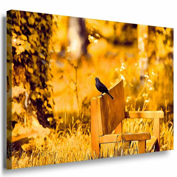Vogel Schwarz auf der Bank Leinwandbild AK Art Bilder Mehrfarbig Kunstdruck XXL