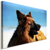 Deutscher Schaferhund AK Art Bilder Premium Kunstdruck Top Leinwandbilder XXL