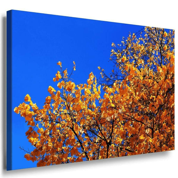Herbst Laubblatter Leinwandbild AK Art Bilder Mehrfarbig Wandbild Kunstdruck 1