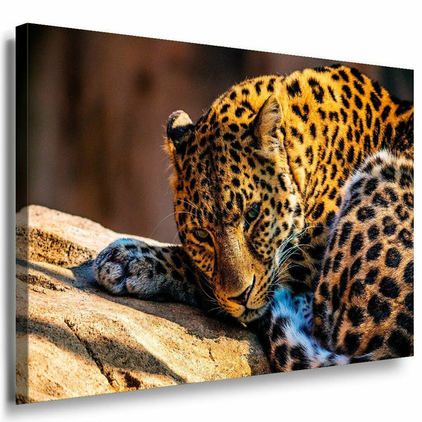 Leopard Leinwandbild AK Art Bilder Mehrfarbig Wandbild Kunstdruck Wanddeko XXL 4