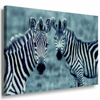 Zebras Afrika Leinwandbild AK Art Bilder Mehrfarbig Kunstdruck XXL Wandbild TOP