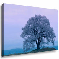 Baum Landschaft Kalt Leinwandbild AK Art Bilder Mehrfarbig Kunstdruck Wandbild