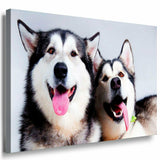 Huskies Leinwandbild AK Art Bilder Mehrfarbig Wandbild Kunstdruck Wanddeko XXL