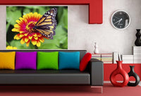 Schmetterling auf Blume Leinwandbild AK Art Bilder Wanddeko Wandbild Kunstdruck