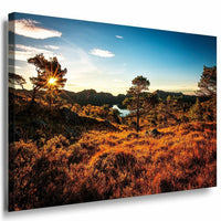 Norway Trees Sky Leinwandbild AK Art Bilder Mehrfarbig Wandbild Kunstdruck XXL