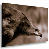Adler auf der Jagt Leinwandbild AK Art Bilder Mehrfarbig Kunstdruck XXL Wandbild
