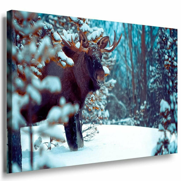 Bar Wald Winter Schnee Leinwandbild AK Art Bilder Mehrfarbig Kunstdruck Wandbild
