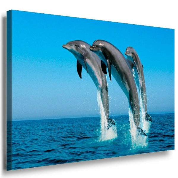 Drei Delphine Springen Meer Abstrakt Leinwandbild AK Art Bilder Mehrfarbig XXL